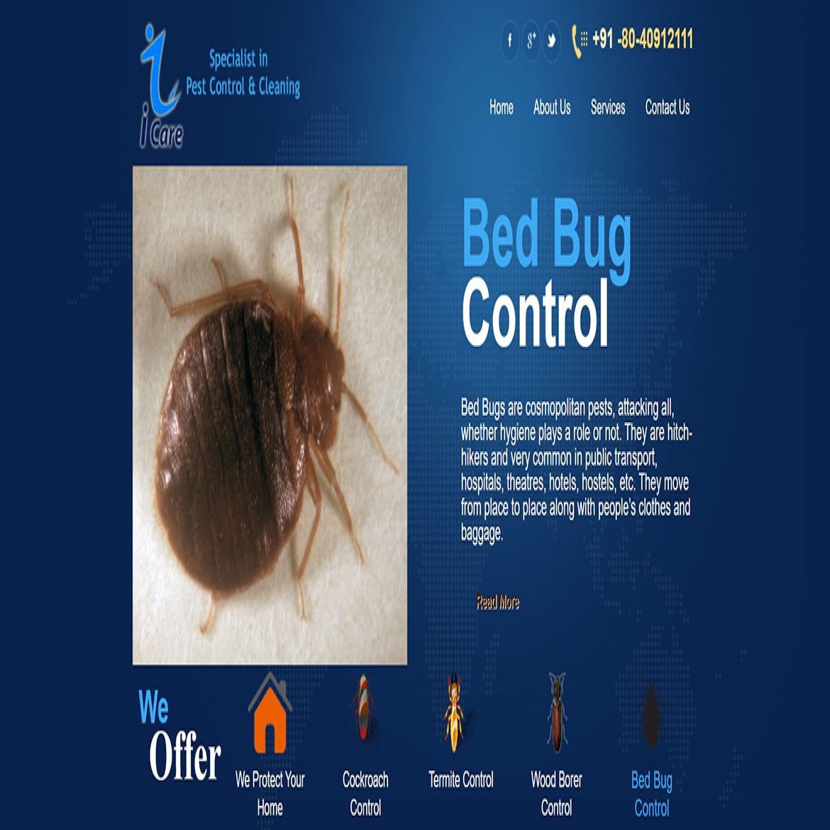 ICare Pest Control 