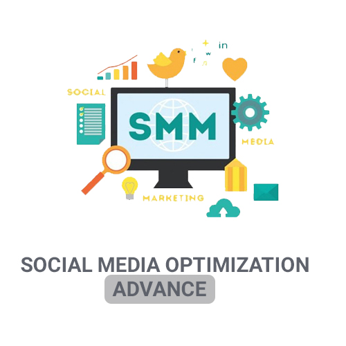 Social Media Marketing In Bangalore | SMO Services - Speed webservices
