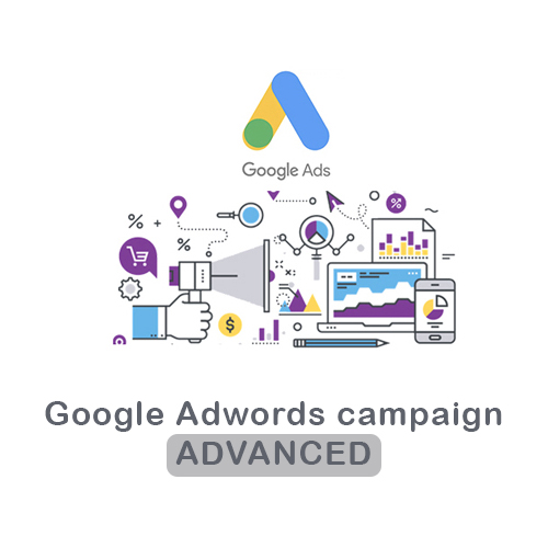 Google Ads-ADVANCED