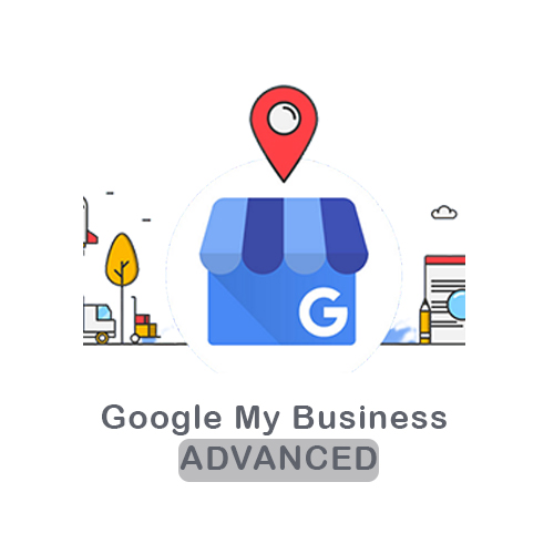 Google my business advance
